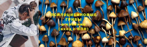 прущие крисы Армянск